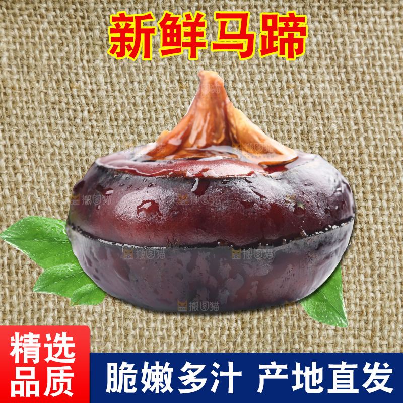 深底上的新鲜马蹄