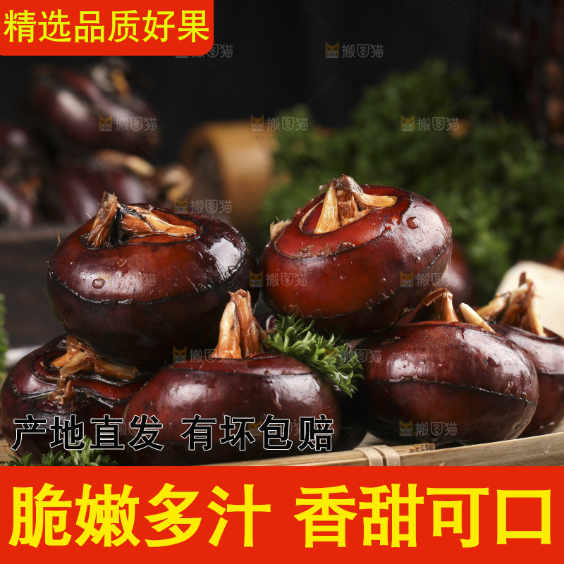 木底上的新鲜马蹄