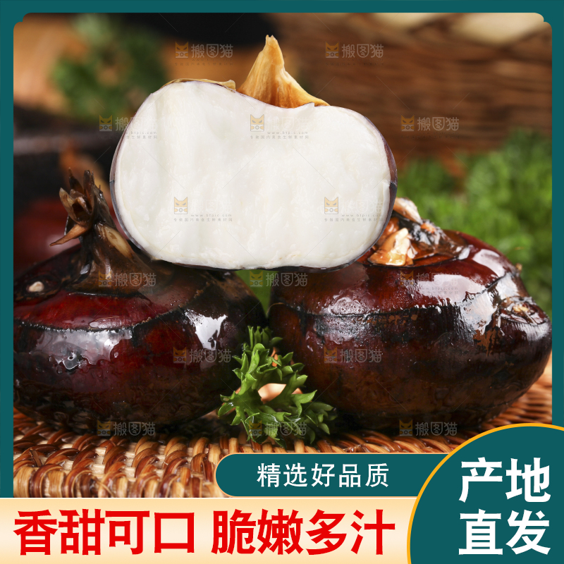 深底上的新鲜马蹄
