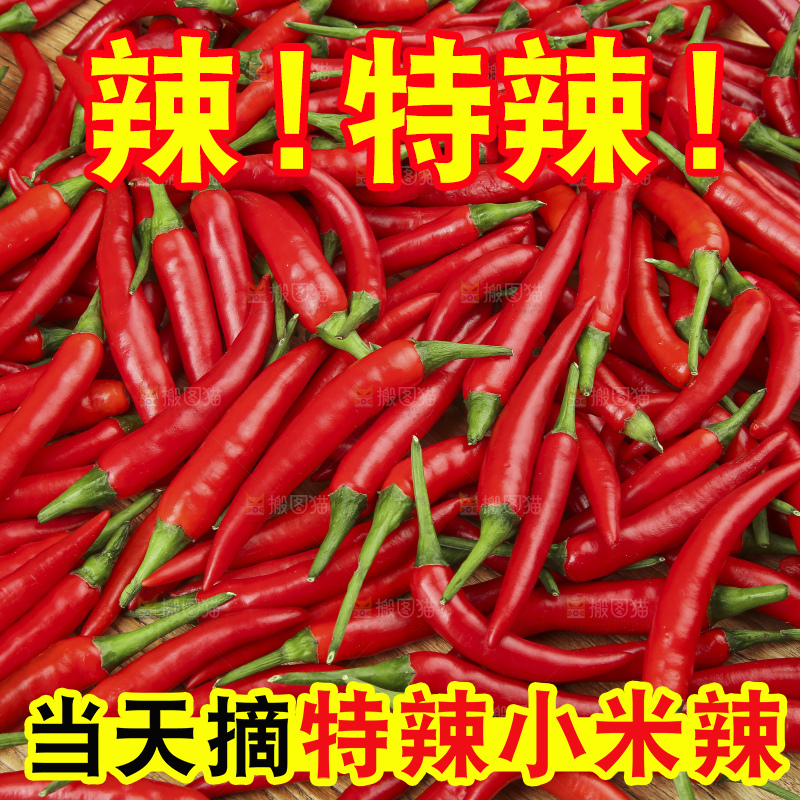 堆放着的新鲜小米椒