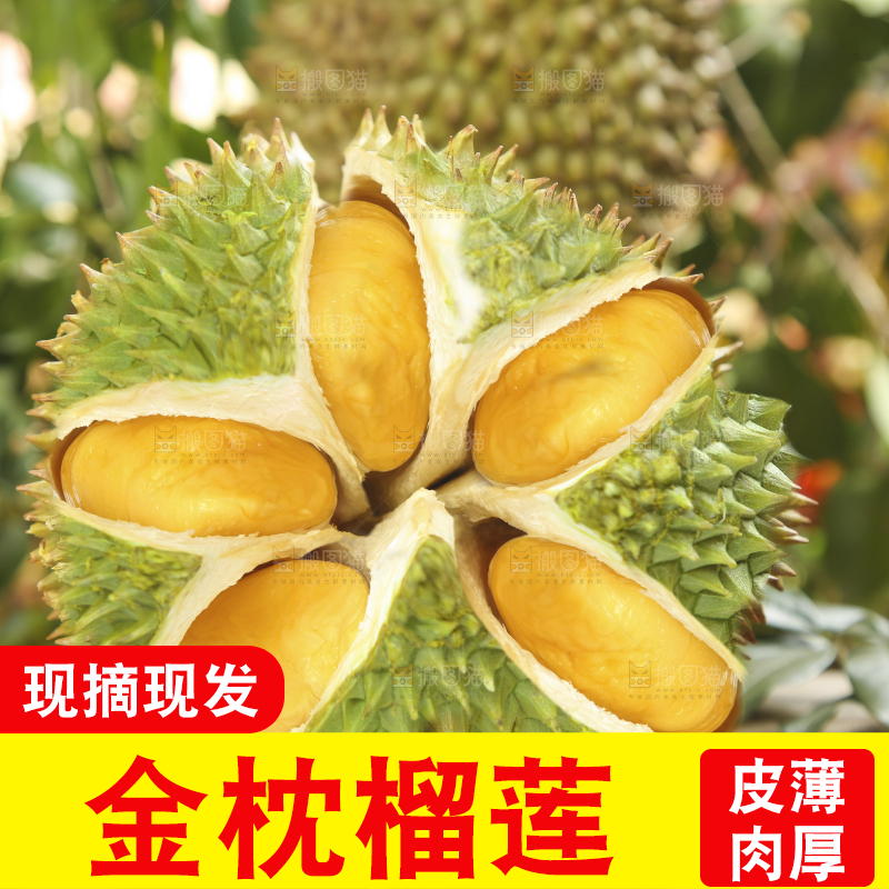 木底上的金枕榴莲