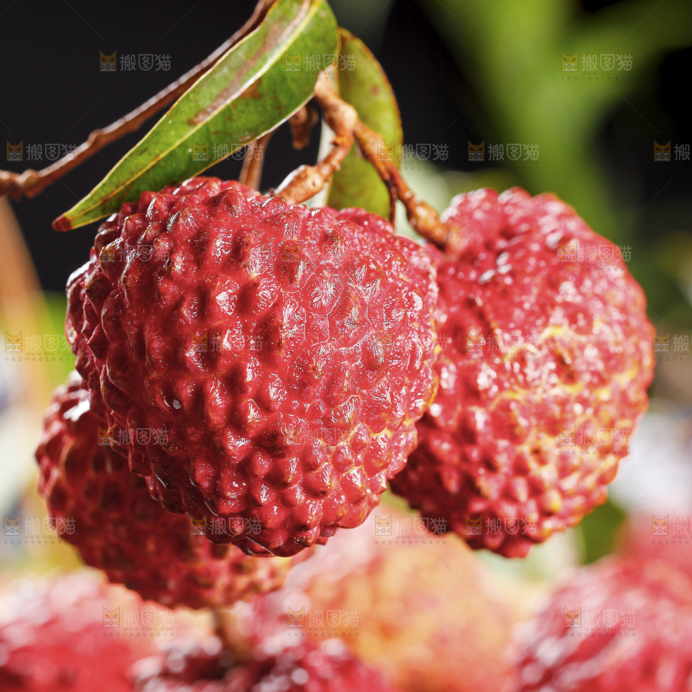 深底上的仙进奉荔枝