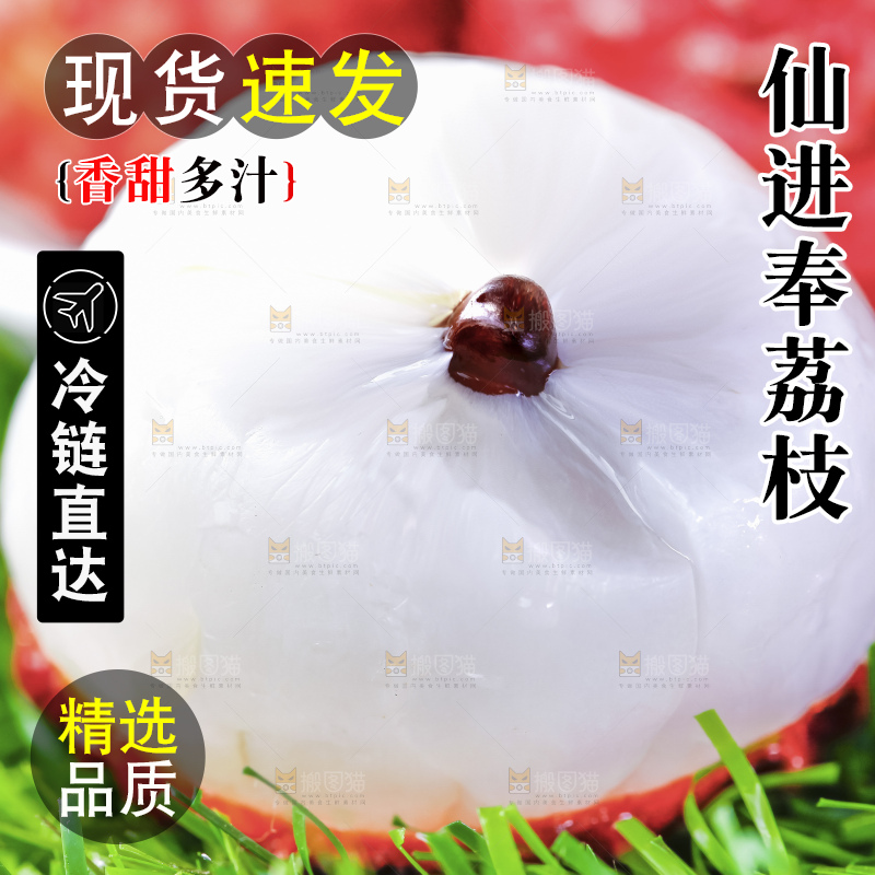 浅底上的仙进奉荔枝