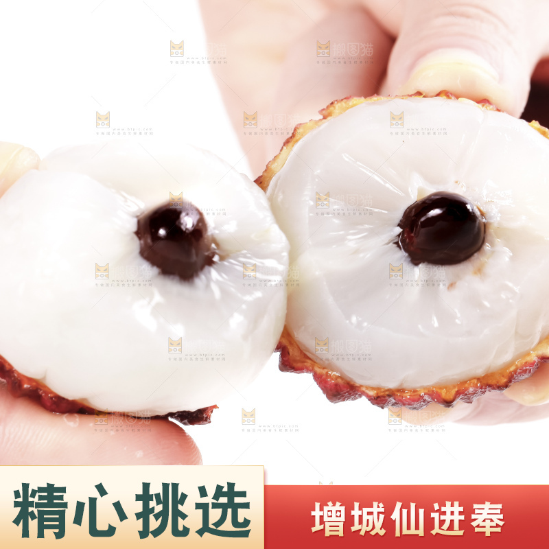 浅底上的仙进奉荔枝