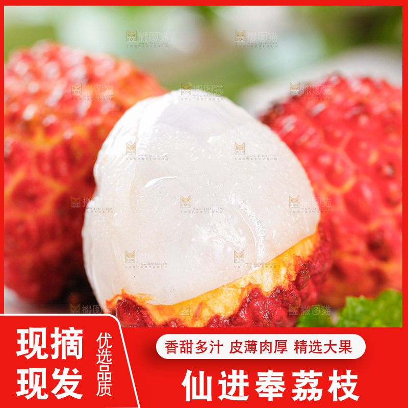 浅底上的仙进奉荔枝