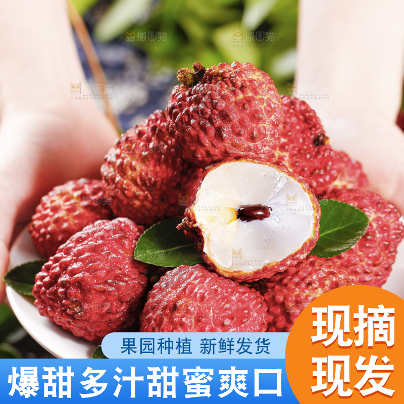 深底上的仙进奉荔枝