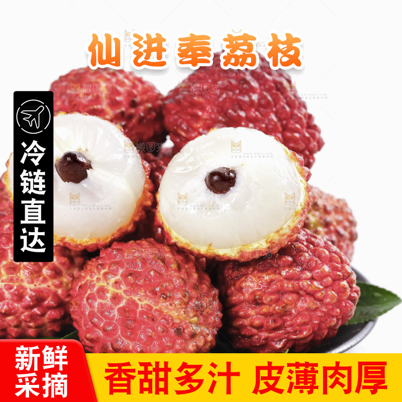 浅底上的仙进奉荔枝