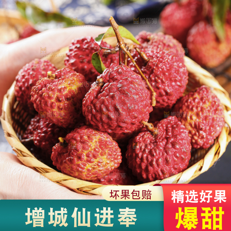 浅底上的仙进奉荔枝