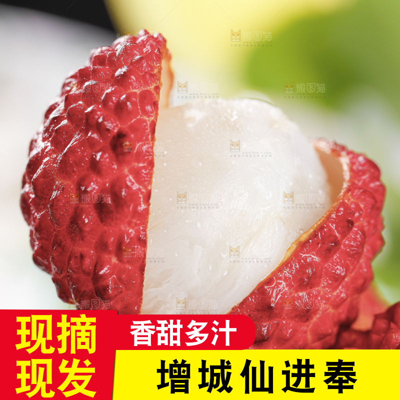 浅底上的仙进奉荔枝