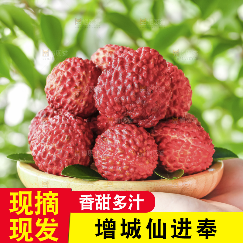 深底上的仙进奉荔枝