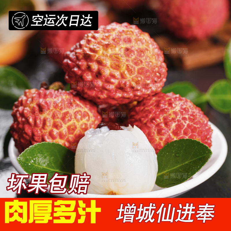 深底上的仙进奉荔枝
