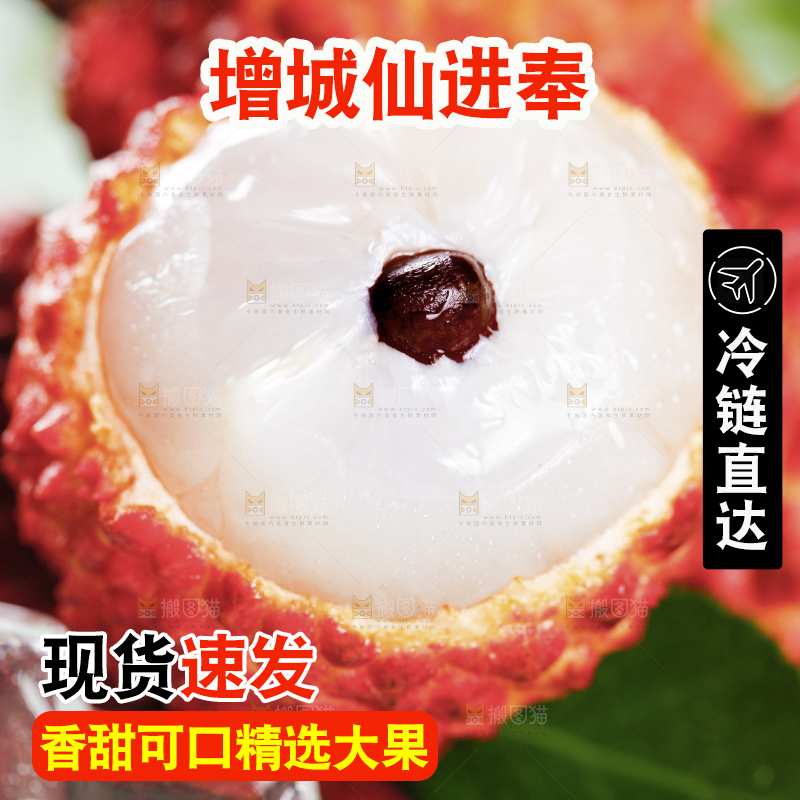 深底上的仙进奉荔枝