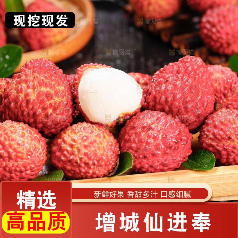 浅底上的仙进奉荔枝