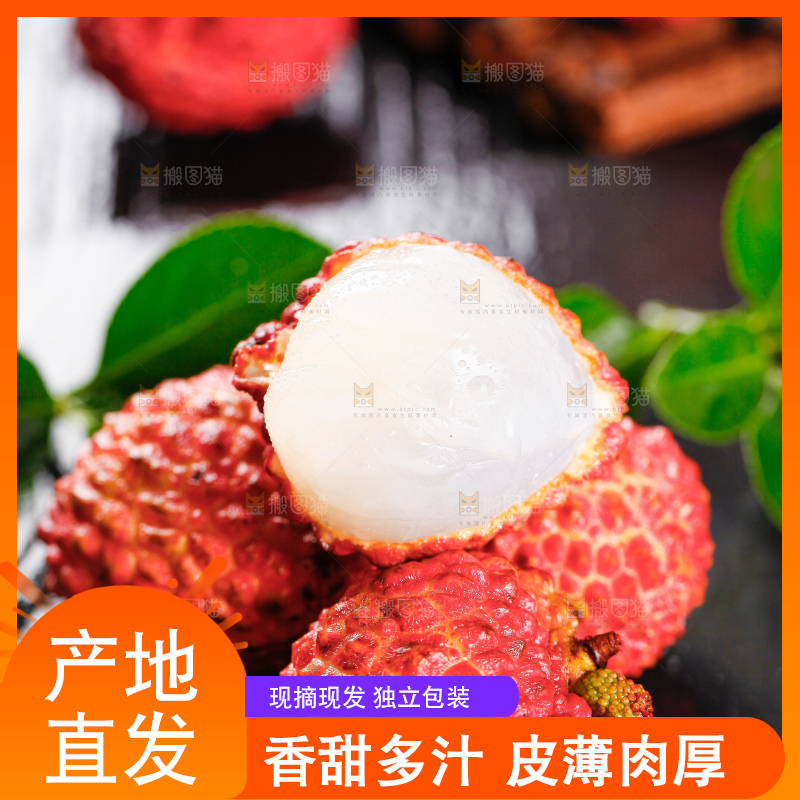 浅底上的仙进奉荔枝