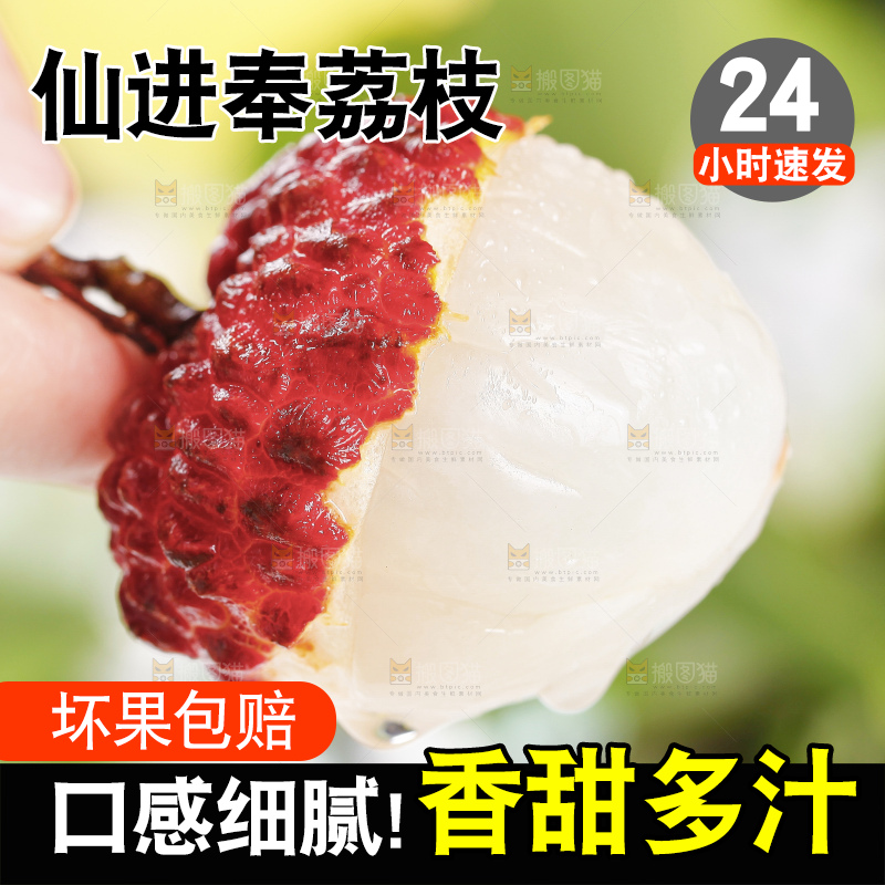 浅底上的仙进奉荔枝