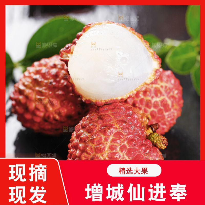 浅底上的仙进奉荔枝