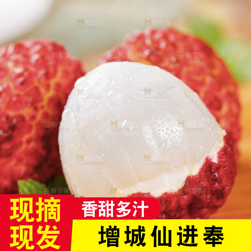 浅底上的仙进奉荔枝