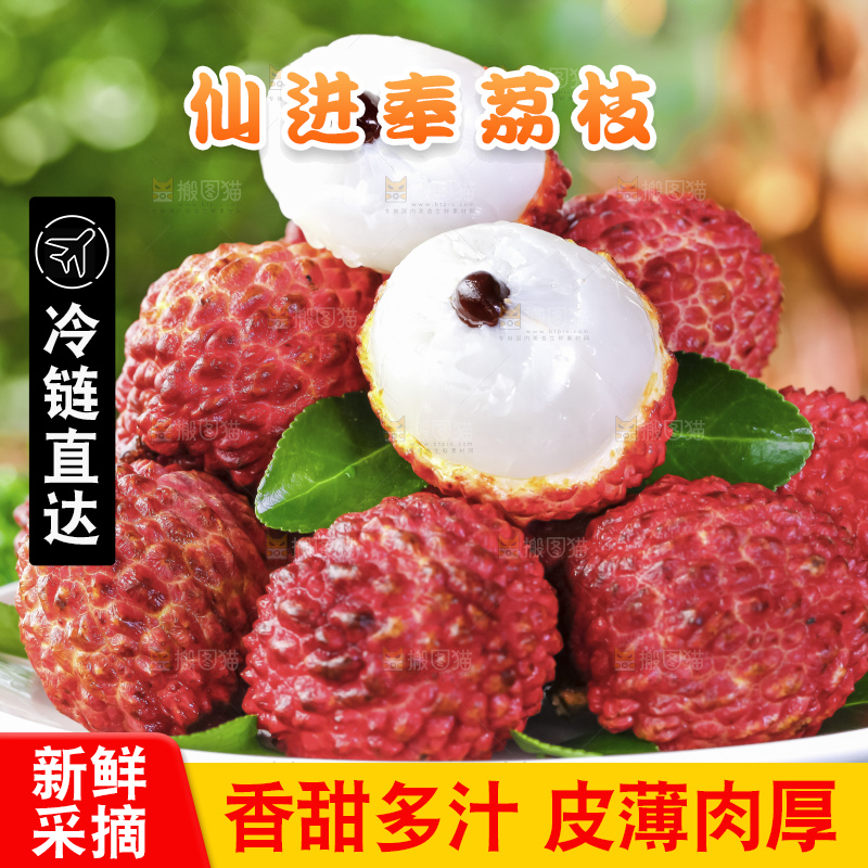 浅底上的仙进奉荔枝