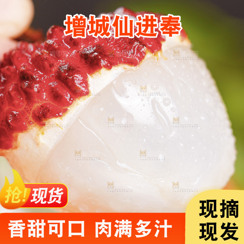 浅底上的仙进奉荔枝