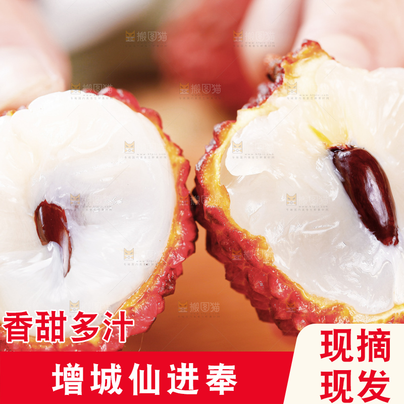 浅底上的仙进奉荔枝