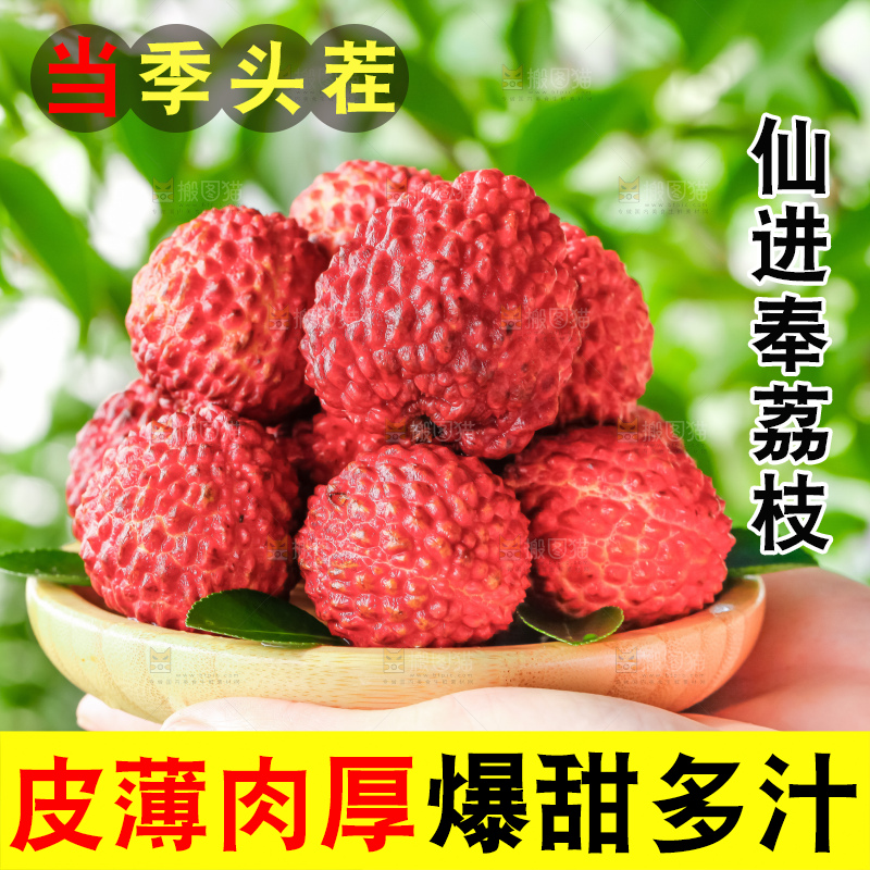 深底上的仙进奉荔枝