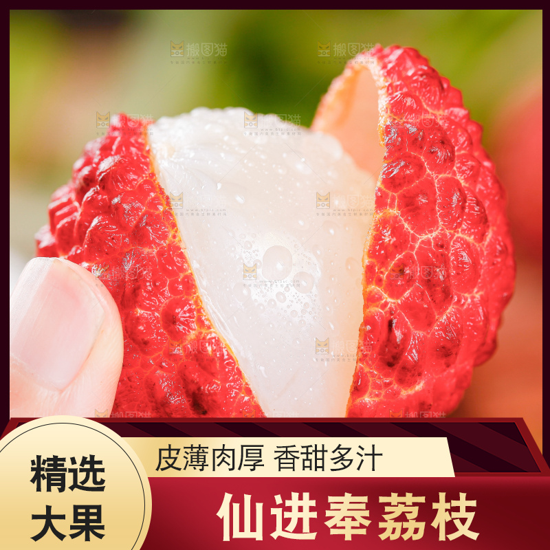 浅底上的仙进奉荔枝
