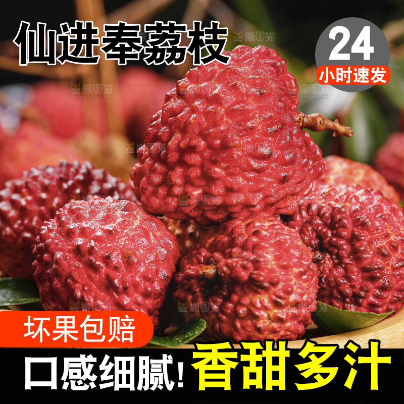 浅底上的仙进奉荔枝