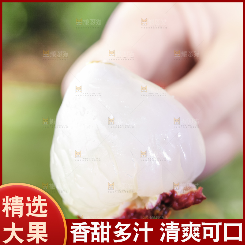 浅底上的仙进奉荔枝