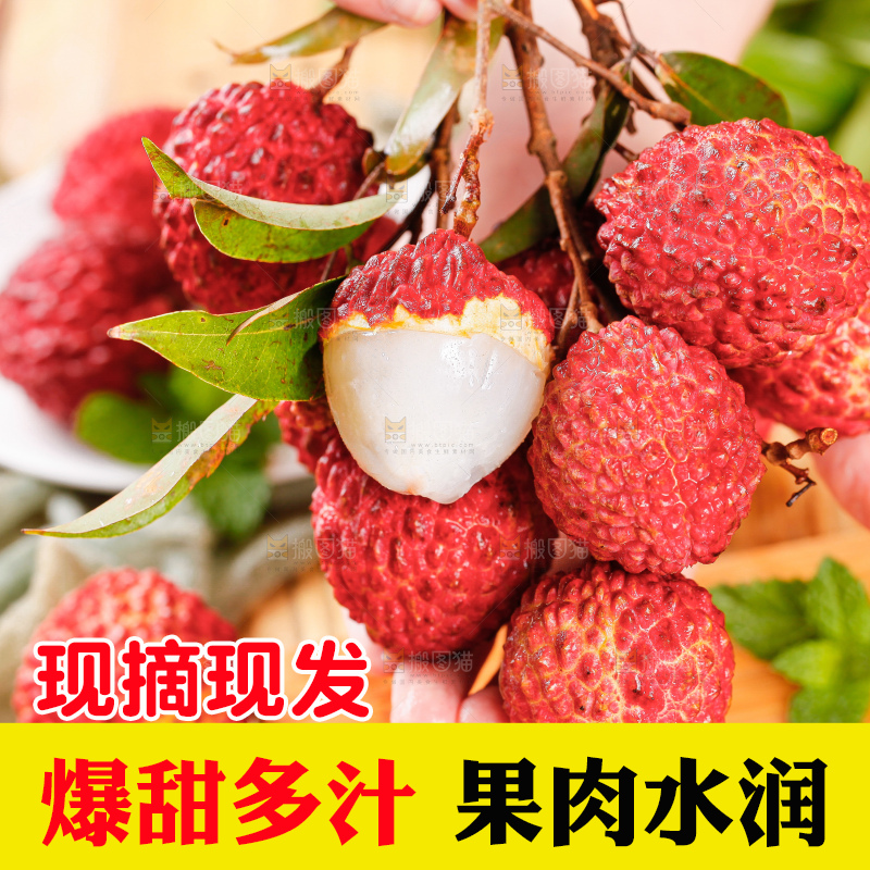 浅底上的仙进奉荔枝