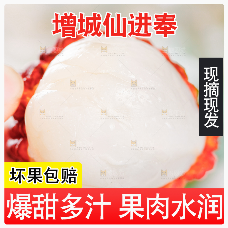 浅底上的仙进奉荔枝