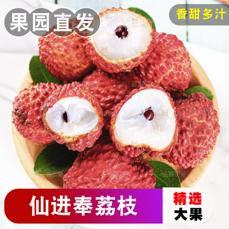浅底上的仙进奉荔枝