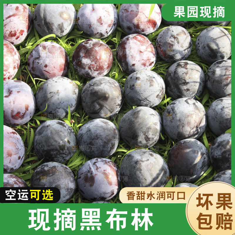 摆放着的黑布林
