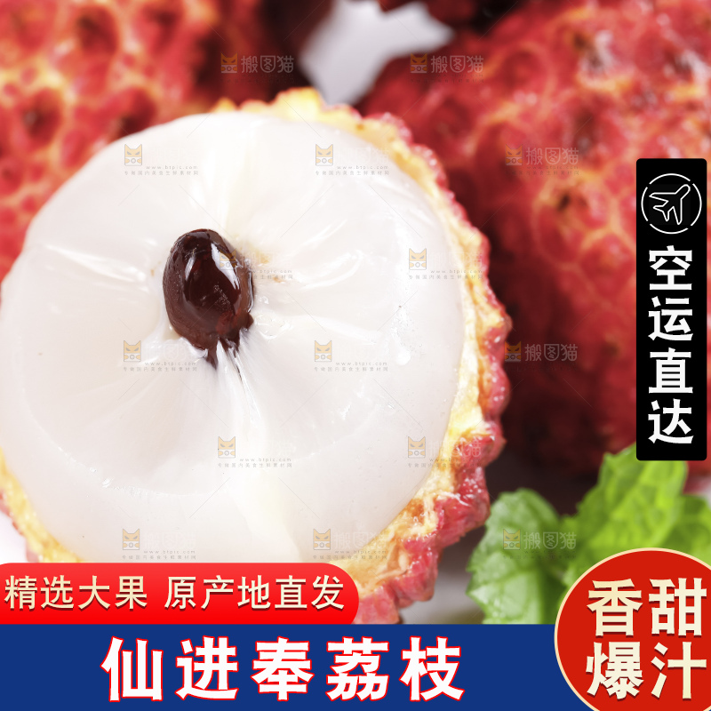 浅底上的仙进奉荔枝