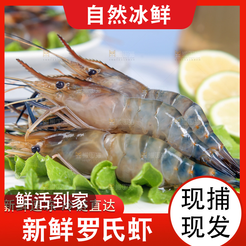 罗氏虾主图