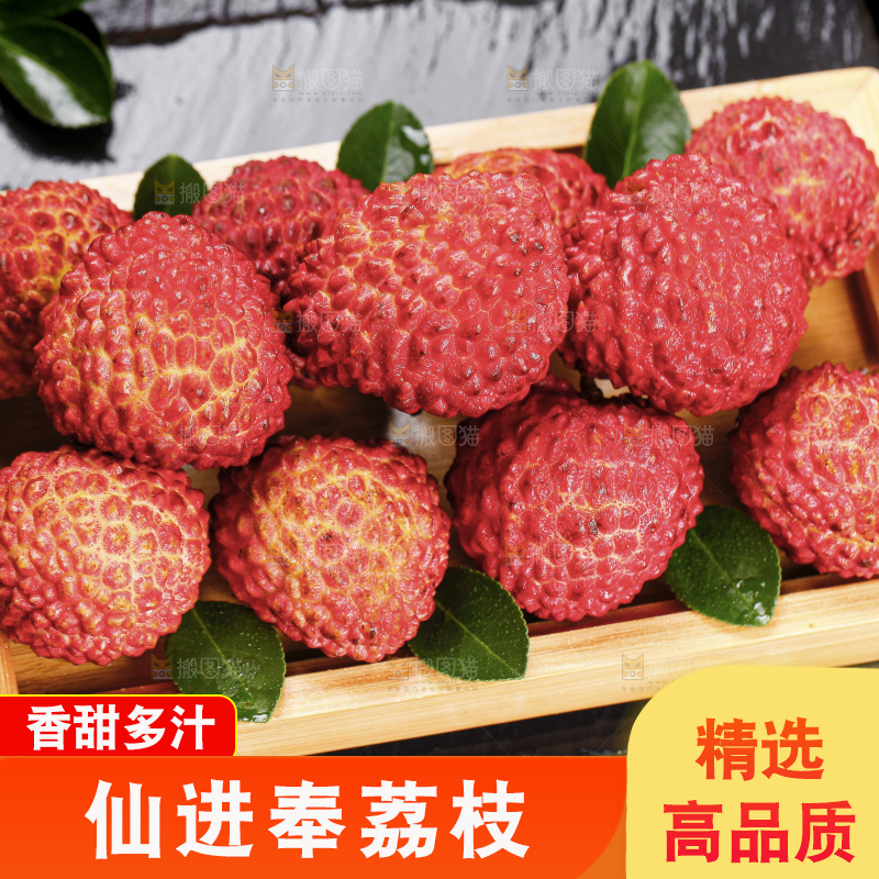 浅底上的仙进奉荔枝