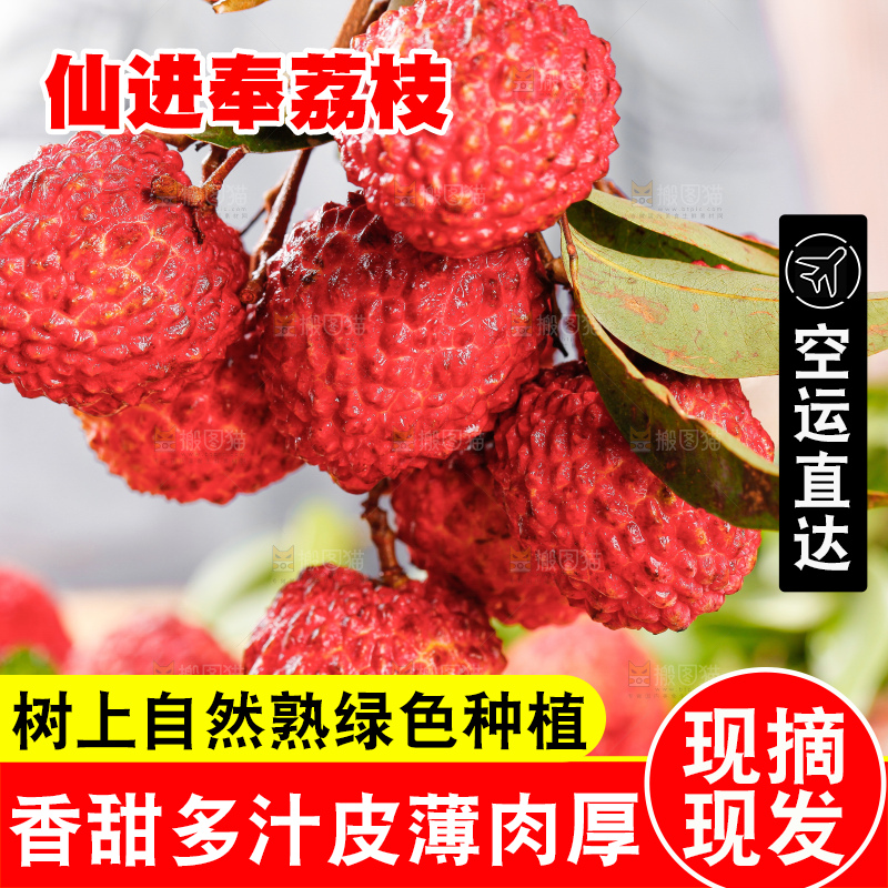 浅底上的仙进奉荔枝