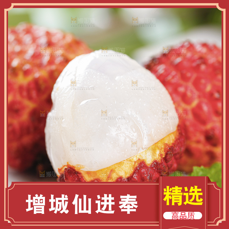 浅底上的仙进奉荔枝