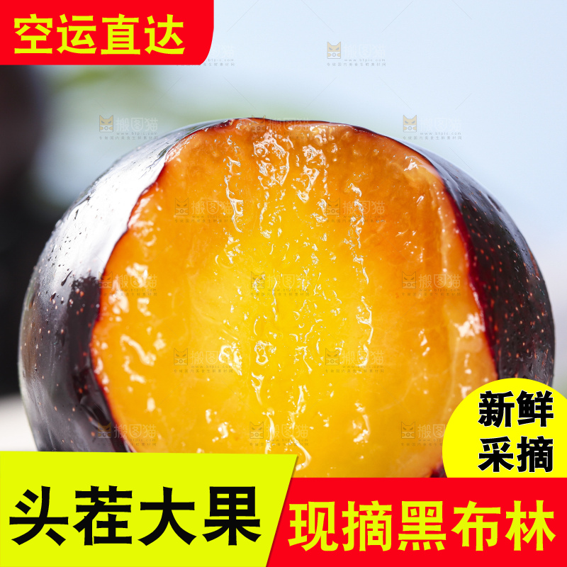 浅底上的黑布林