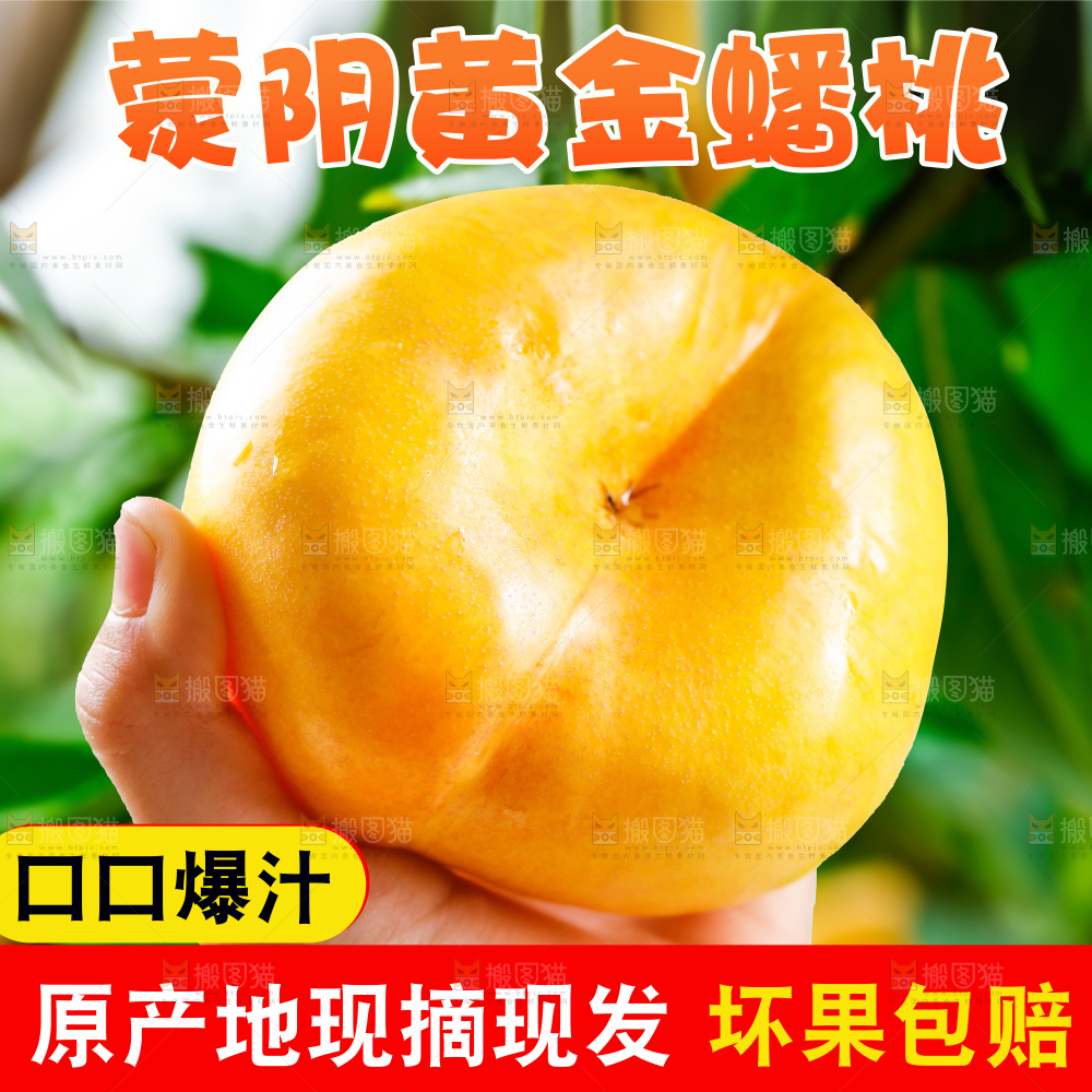 黄金油蟠桃主图