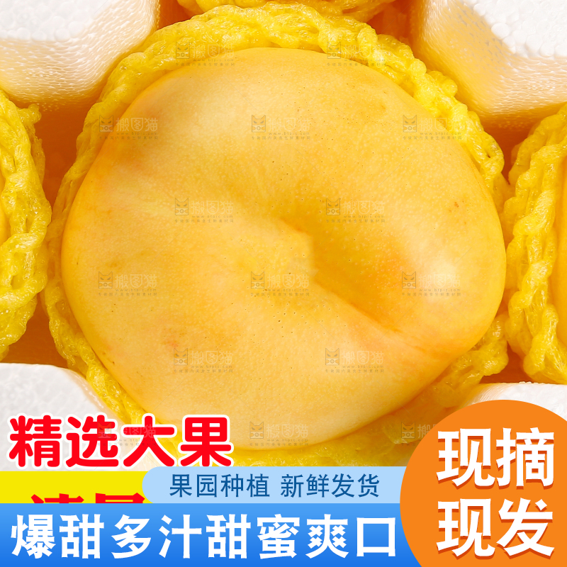黄金油蟠桃主图