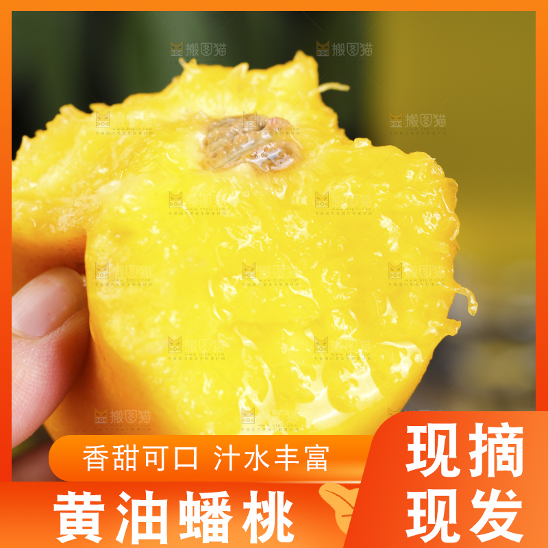 浅底上的黄金油蟠桃