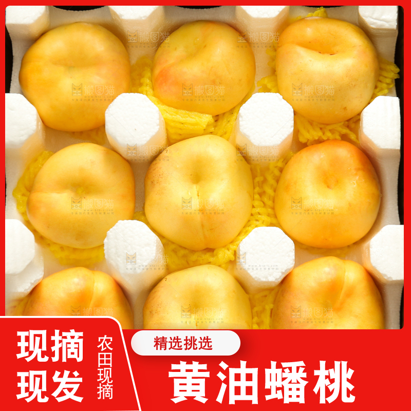 黄金油蟠桃主图