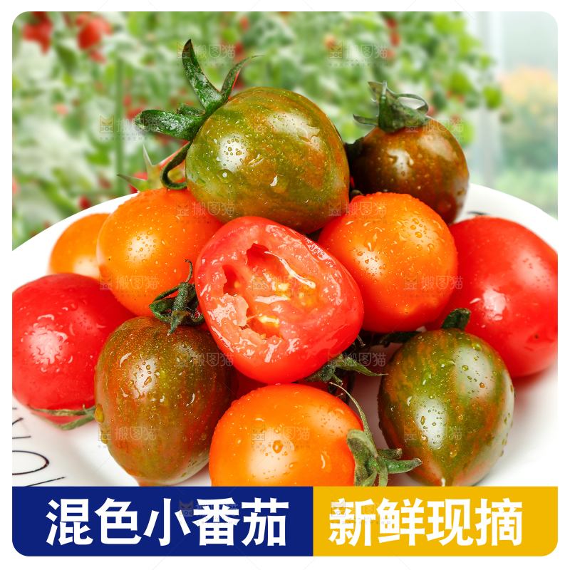 混合小番茄主图