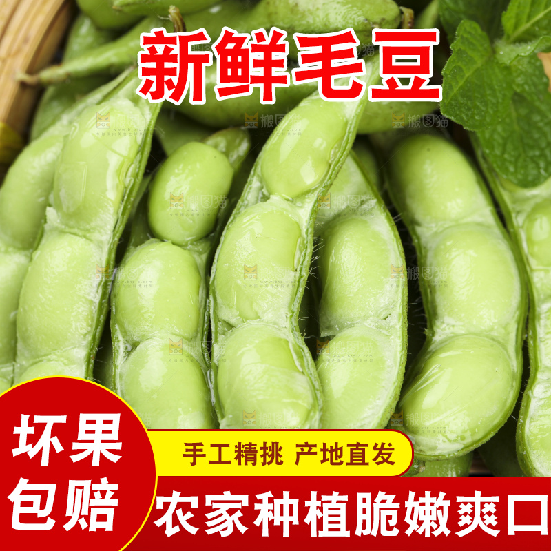 深底上的新鲜毛豆