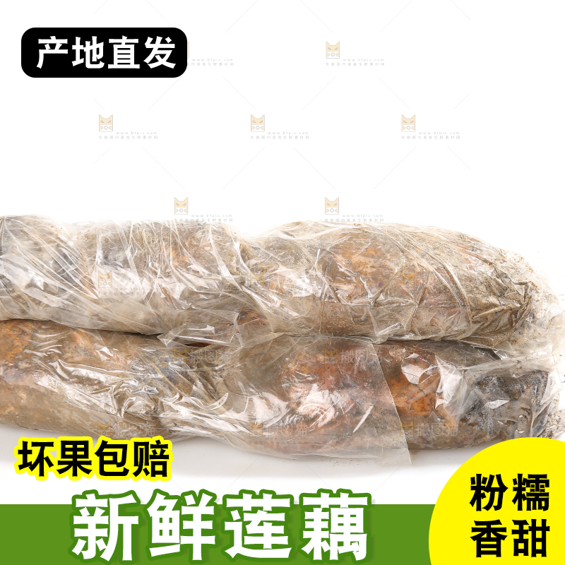 白底上的洪湖粉藕