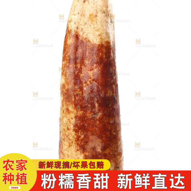 白底上的洪湖粉藕
