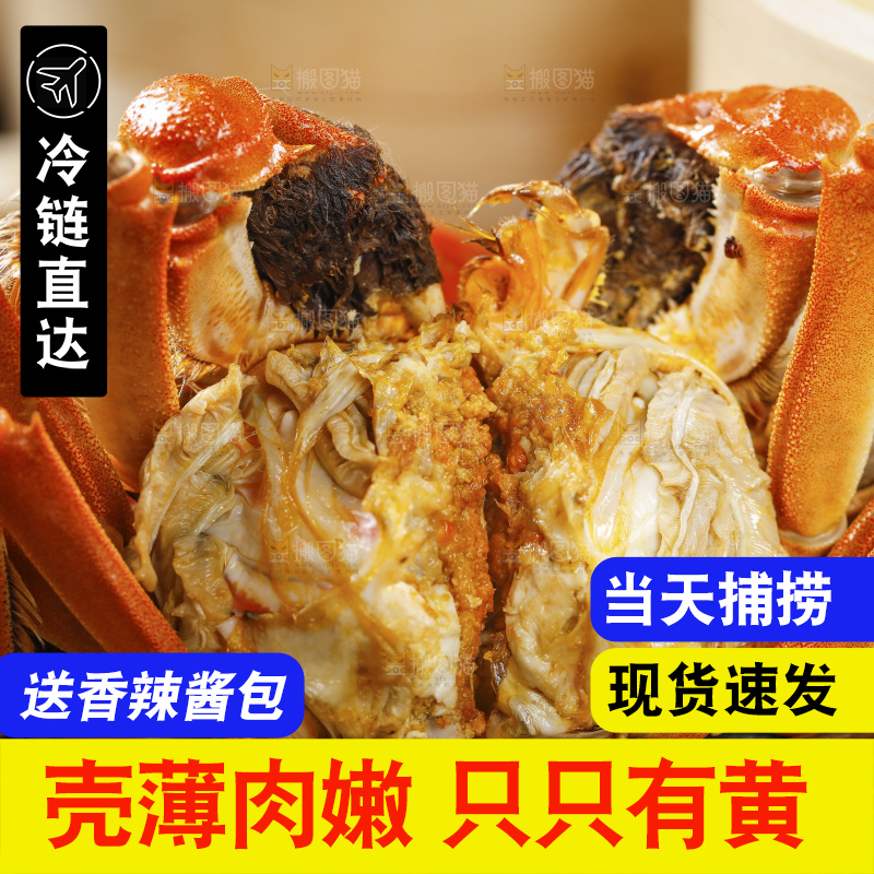 阳澄湖大闸蟹
