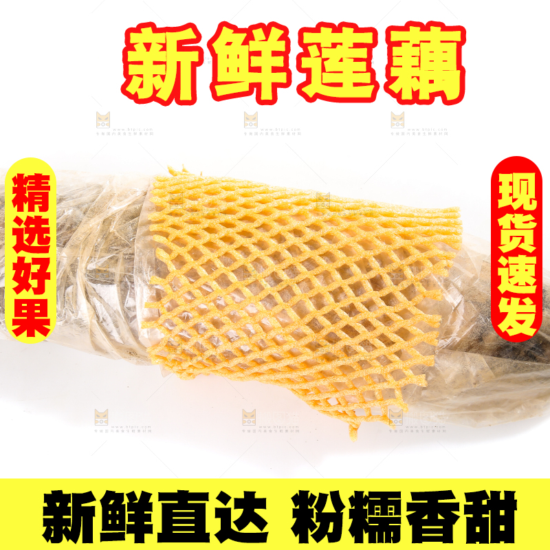 白底上的洪湖粉藕