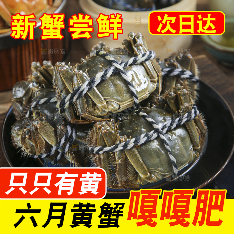 阳澄湖大闸蟹