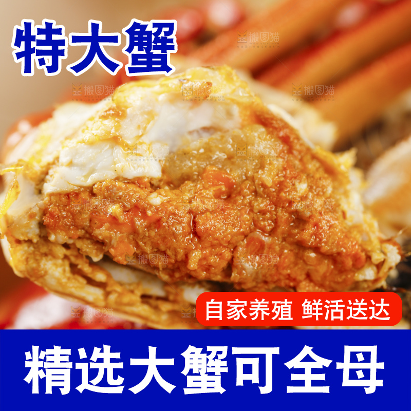 阳澄湖大闸蟹